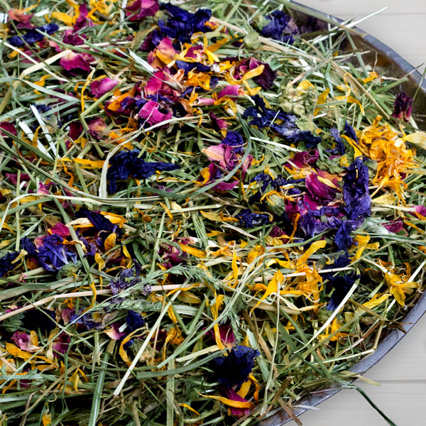 En duft af blomstereng til kaniner, marsvin og andre gnavere - hø fra Bunny Nature