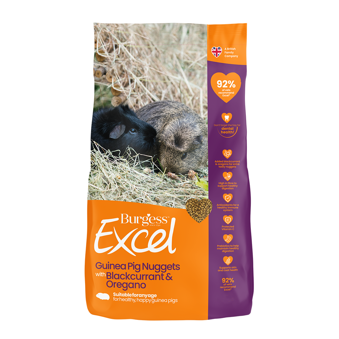 Burgess Excel Adult marsvinfoder - med solbær og oregano 10 kg