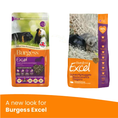 Burgess Excel Adult marsvinfoder - med solbær og oregano 10 kg