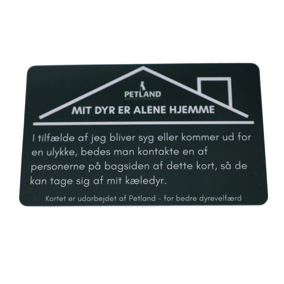 Mit kæledyr er alene hjemme forside