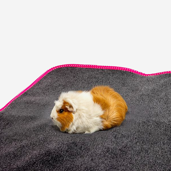 Blødt fleecetæppe med praktisk sugeevne - til dig og din kanin, marsvin eller anden gnaver