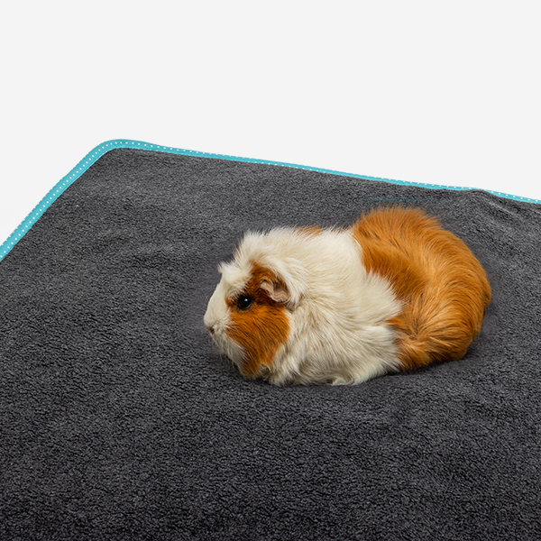 Bunny Bedding EASY Turkis - tæppe med sugeevne og praktisk molton bagside