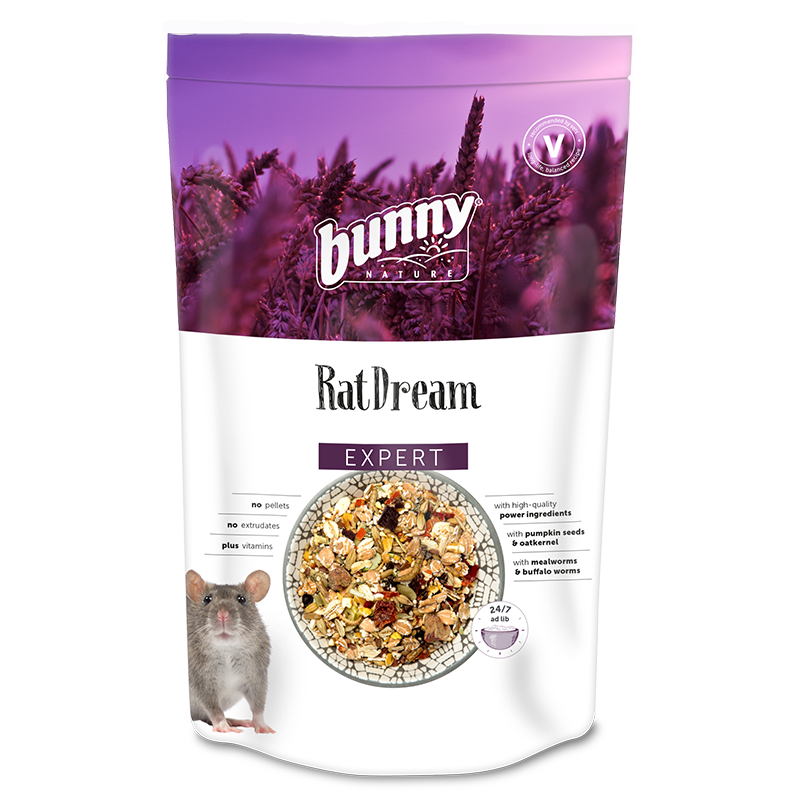 RatDream Expert