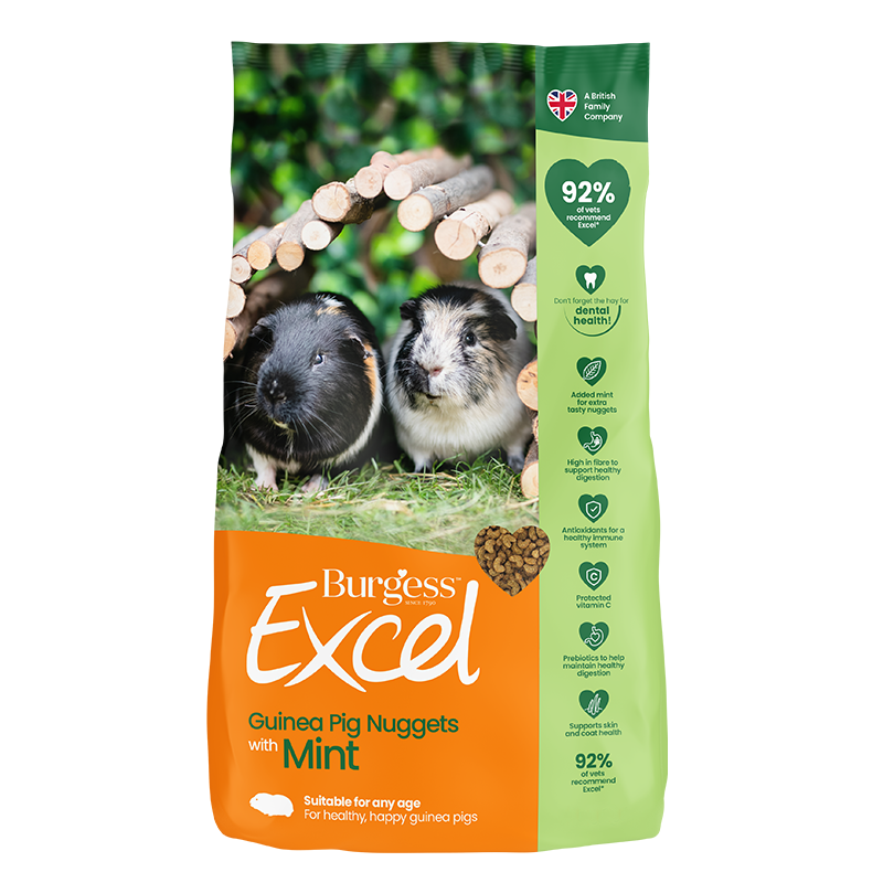 Burgess Excel Adult Marsvin med mint 1,5kg