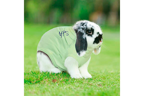 Bodystocking Medical Pet Shirt 1,6-2,0 kg.