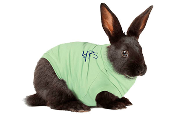 Bodystocking Medical Pet Shirt 1,6-2,0 kg.