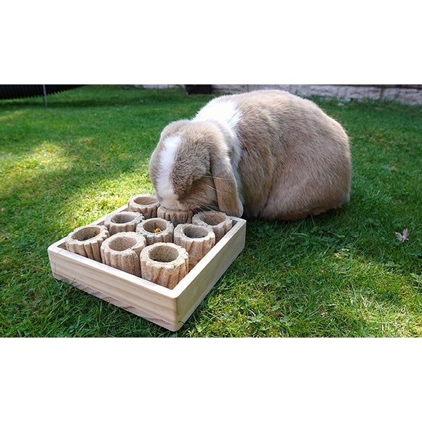 Rosewood Hide N' Treat Forage Tray