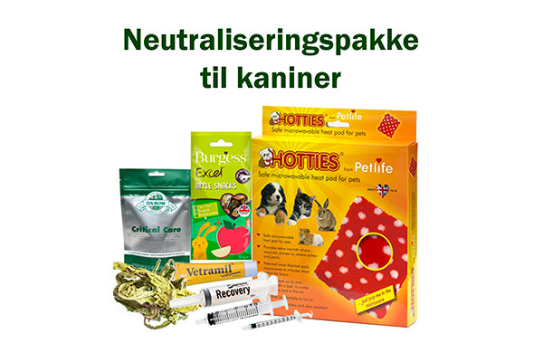 Hvorfor skal kaniner neutraliseres?