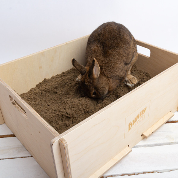 Grave sandkasse til kaniner og gnavere