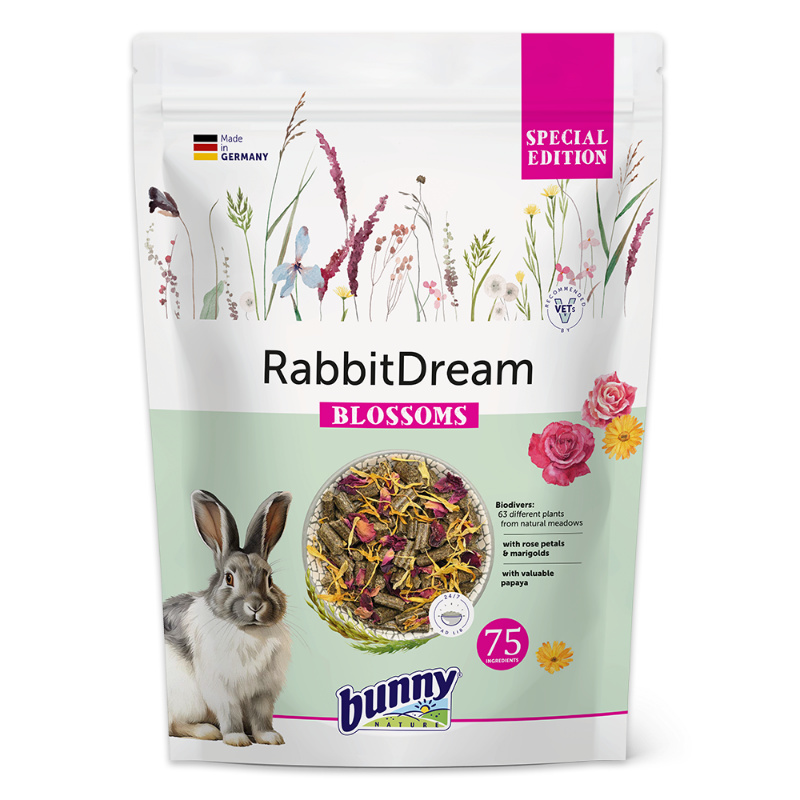 RabbitDream SPECIAL EDITION BLOSSOMS forside