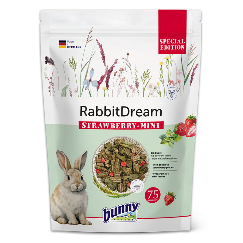 RabbitDream SPECIAL EDITION STRAWBERRY-MINT forside