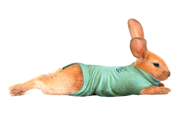 Bodystocking Medical Pet Shirt 2,1-3,5 kg.
