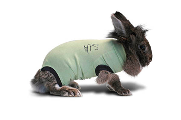 Bodystocking Medical Pet Shirt 2,1-3,5 kg.